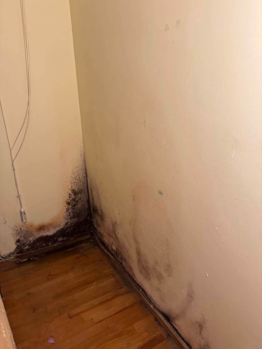 Σπατουλάρισμα τοίχου μετά από αποκατάσταση μούχλας στη Θεσσαλονίκη